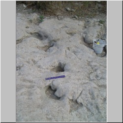 100_0432 (2009-26-07).JPG